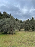 Photo numero 46056599 du bien UBI457283345